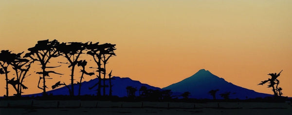 November Morning - Coastal Taranaki